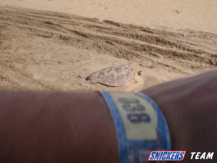 Budapest - Bamako 2010 (2. r�sz)